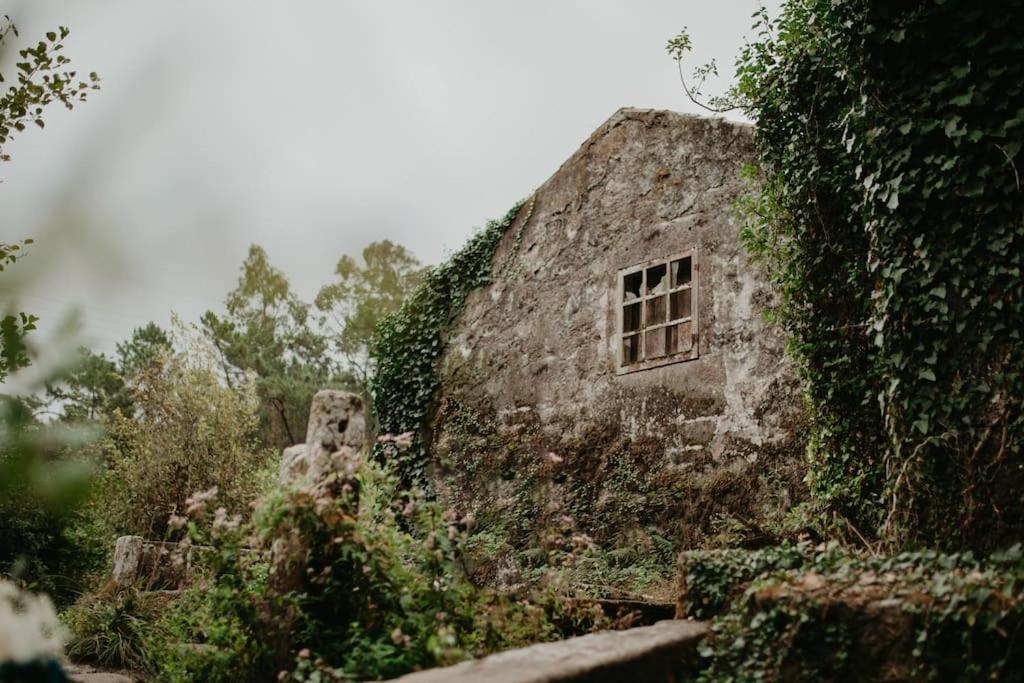 Villa Antas Family Esposende
